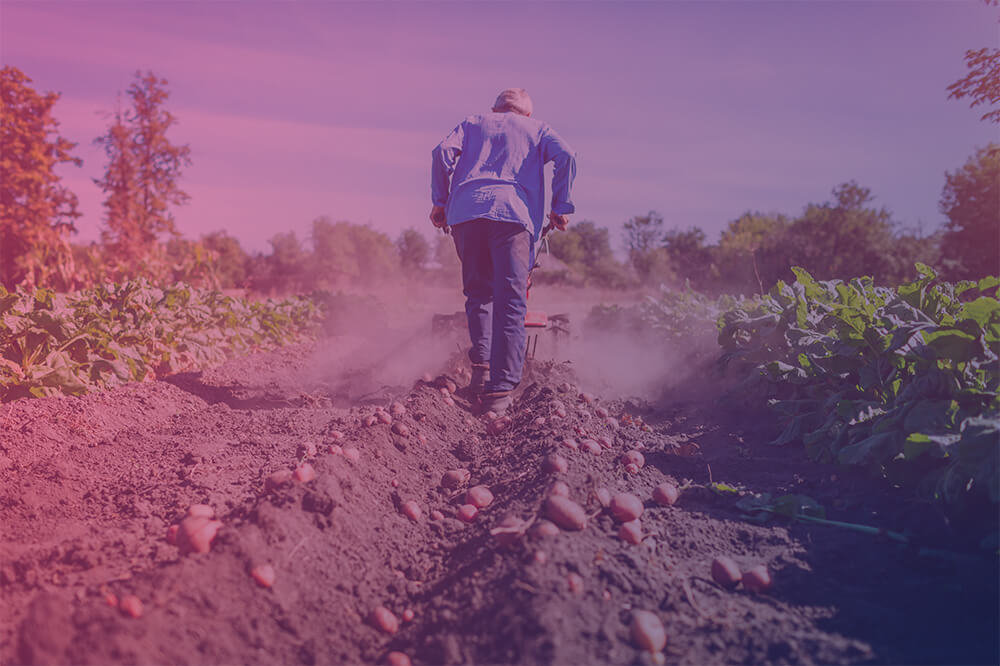 secteur dâ€™activitÃ© agroalimentaire